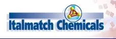 Italmatch Chemicals