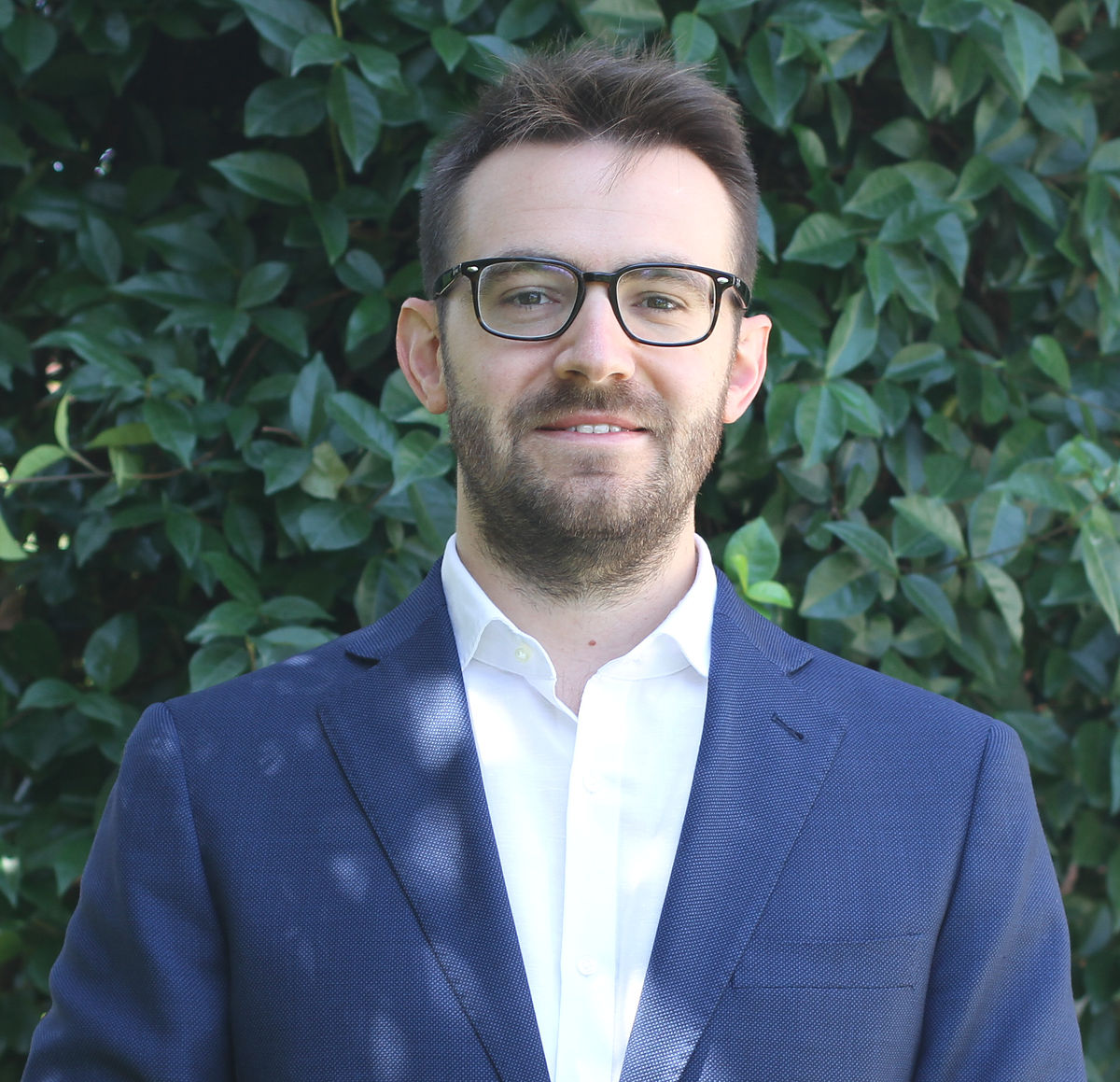 Gianluca Longoni, Consigliere Gianluca Longoni, Consigliere